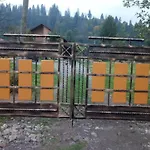берлога 2 *